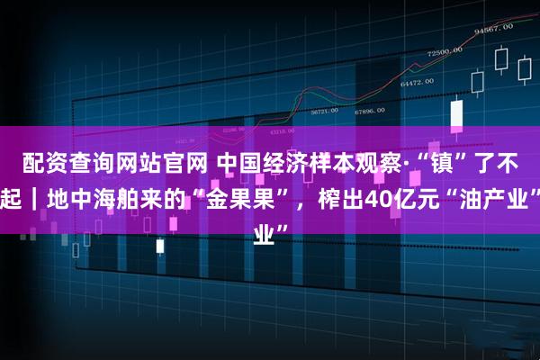 配资查询网站官网 中国经济样本观察·“镇”了不起｜地中海舶来的“金果果”，榨出40亿元“油产业”